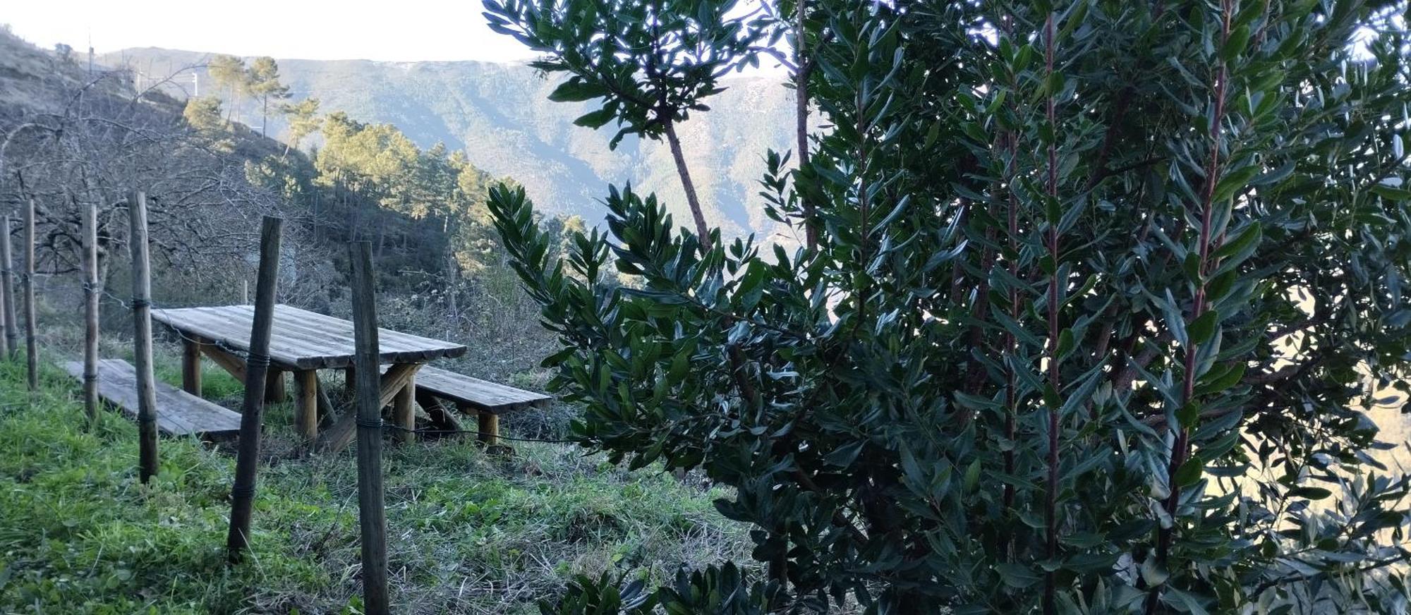 Chas de Egua Casa Da Quelha旅馆 外观 照片